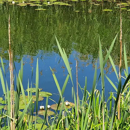 Hotell Podewils Old Town 5*