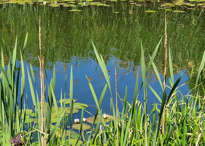 Hotell Podewils Old Town 5*